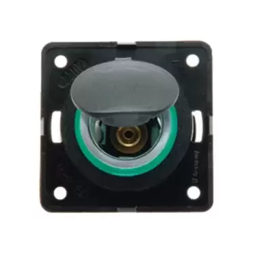 Toma 12 voltios empotrable con tapa línea Berker para caravana, autocaravana y camper