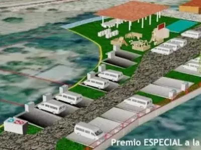 DESDE MITORTUGA.ES QUEREMOS FELICITAR A VIRUTAS ÁREA 